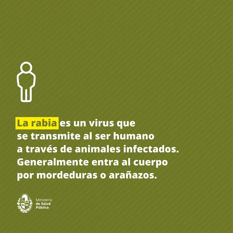 450327537_781625717475431_6333644590292519496_n