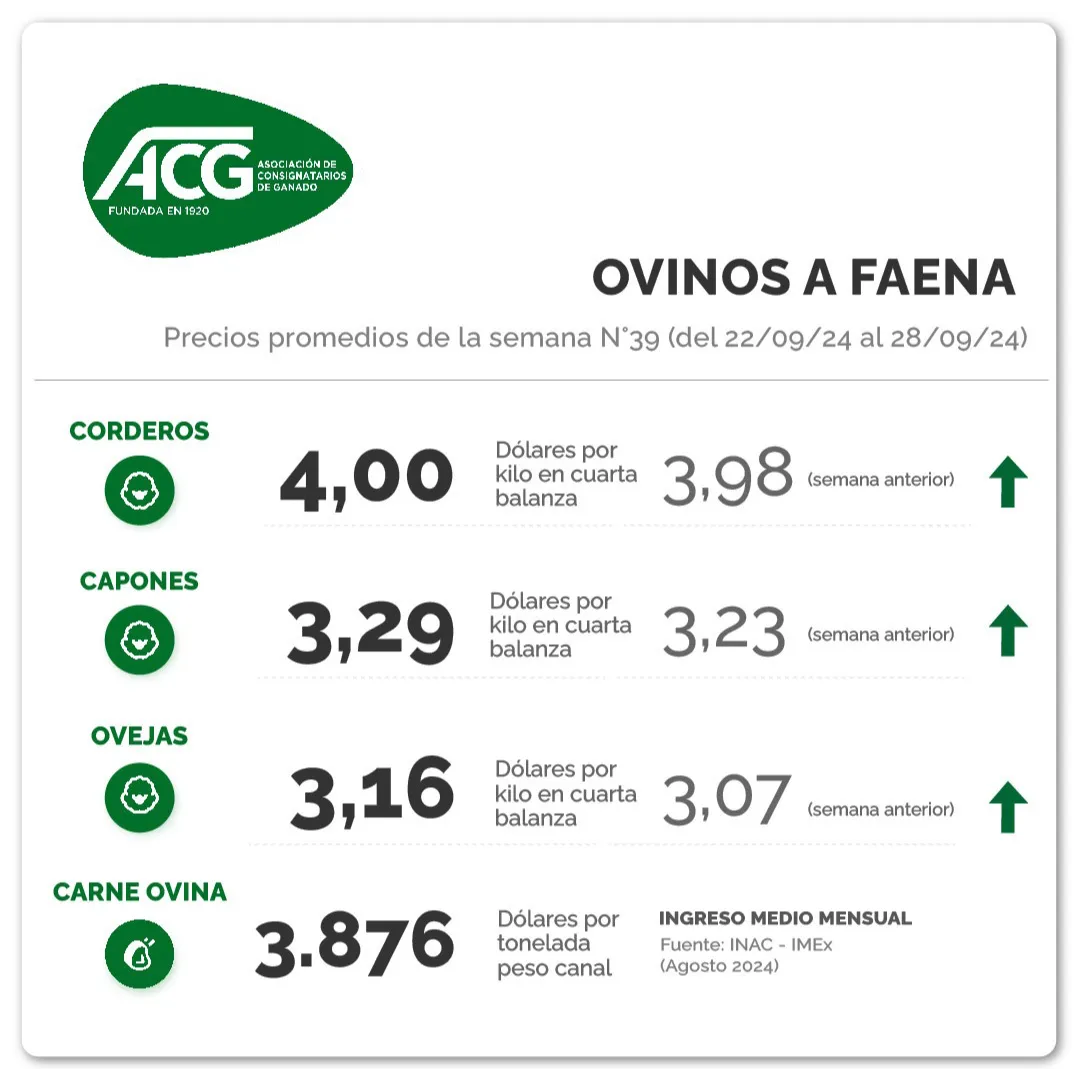 Screenshot_20241002_085706_Instagram