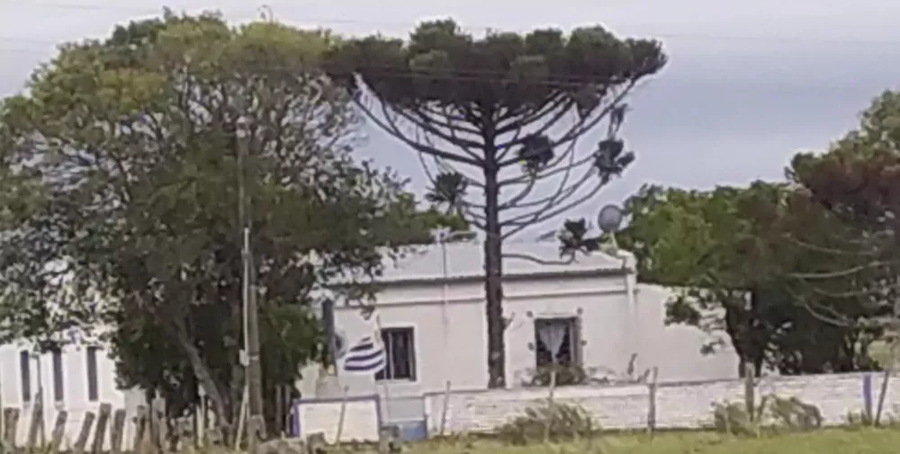 337664135_523025063112178_7415527283726716222_n