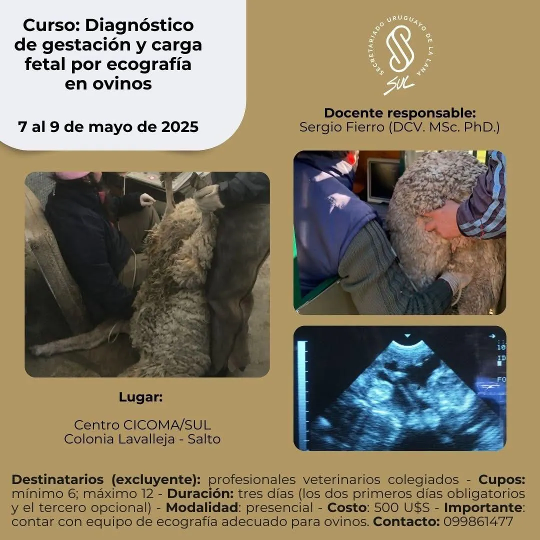 FB_IMG_1742146830731