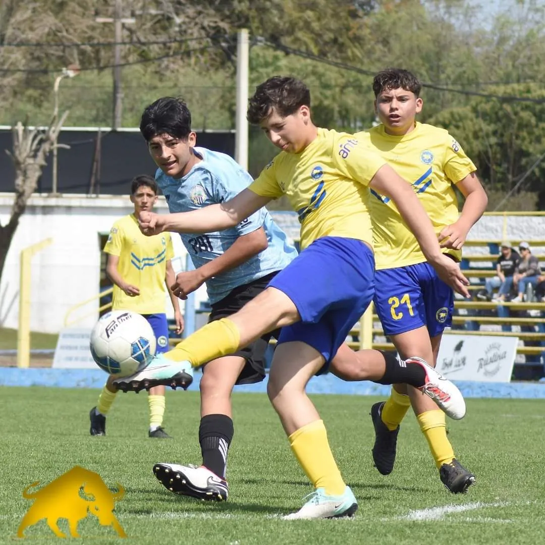 FB_IMG_1727192118959