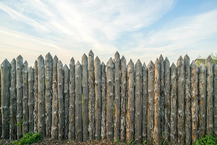 defensas