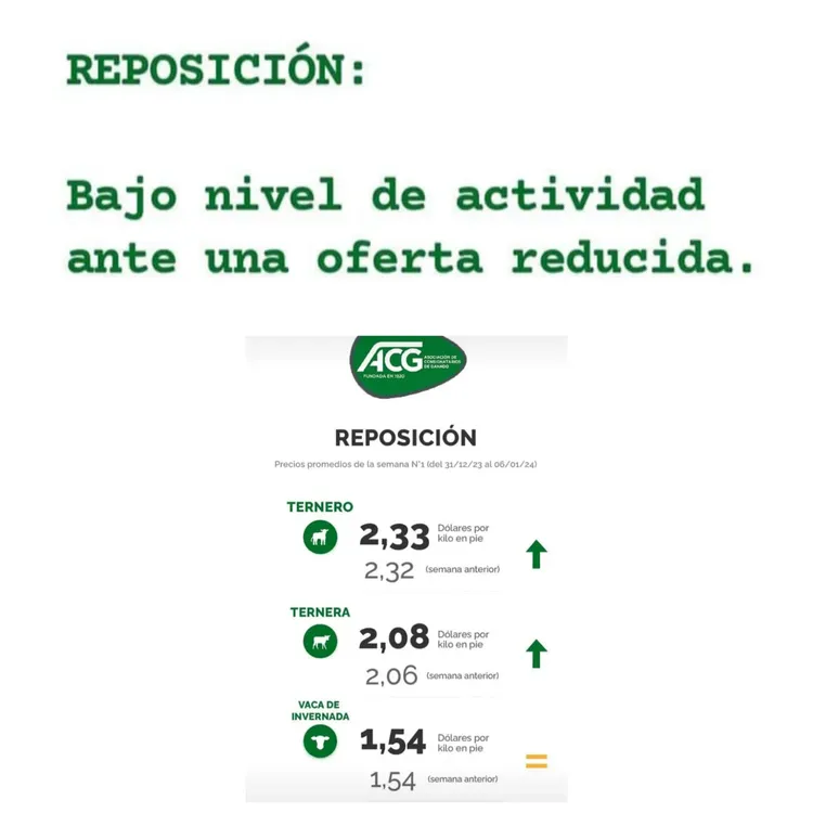 WhatsApp Image 2024-01-09 at 11.01.27