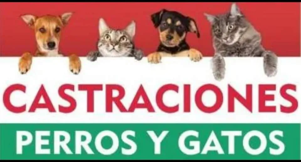 FB_IMG_1697819399088