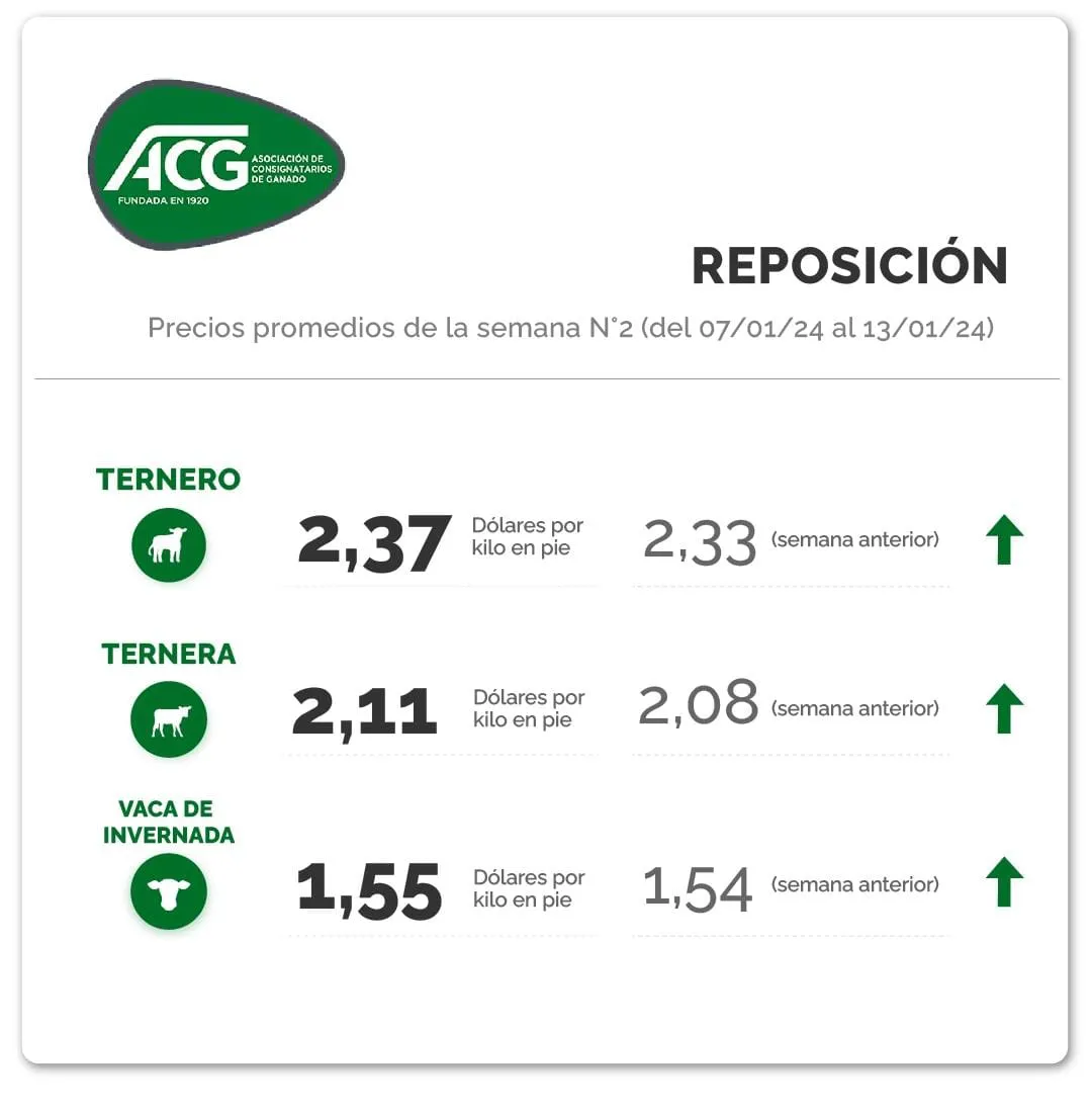 WhatsApp Image 2024-01-16 at 08.34.29