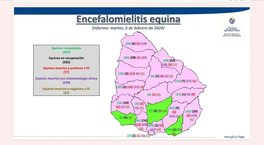 WhatsApp Image 2024-02-06 at 15.40.46