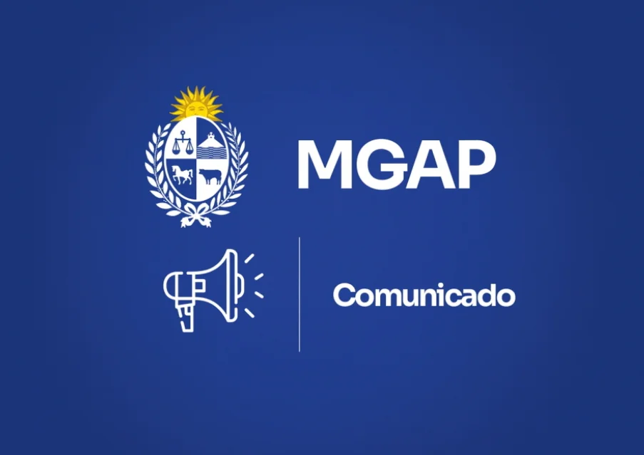 Screenshot_2026-02-24-17-01-41-706_com.android.chrome-edit