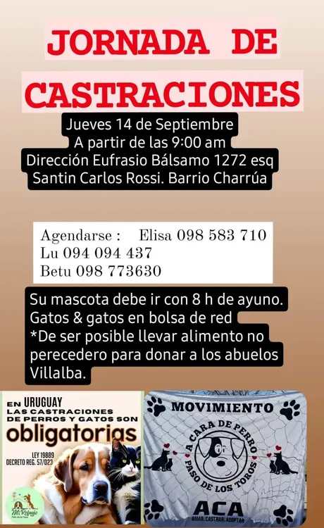 378193606_1001562184485295_1848034708304698467_n