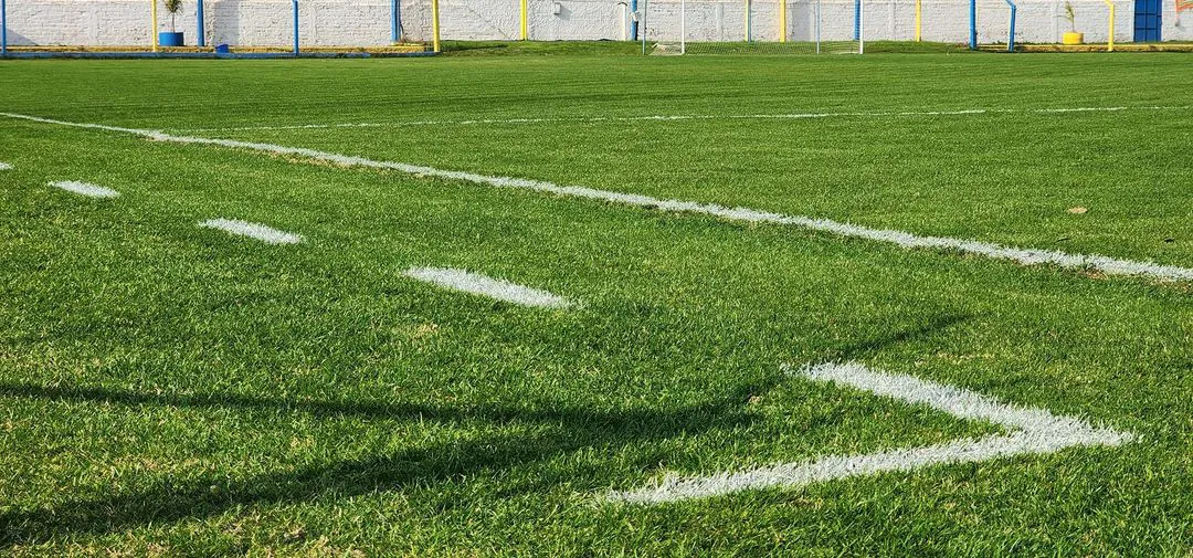 406490946_316886207775639_6235872016807974300_n