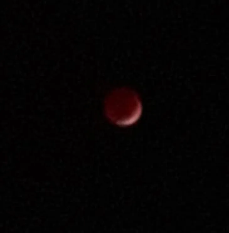 IMG-20250314-WA0013