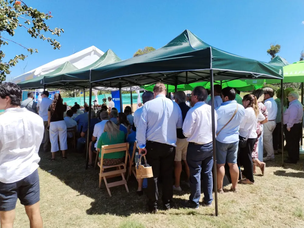 WhatsApp Image 2024-01-27 at 11.06.36 (1)