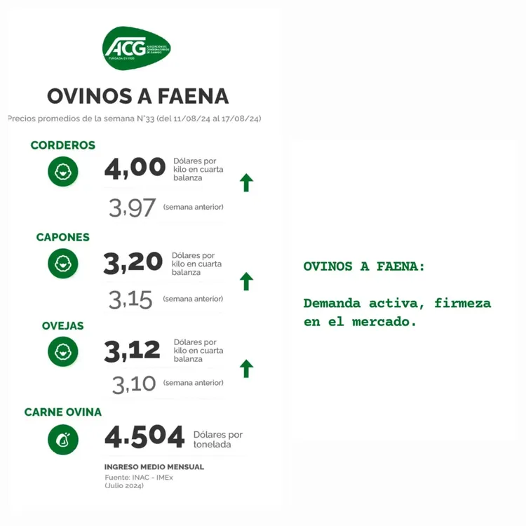 WhatsApp Image 2024-08-20 at 09.23.21