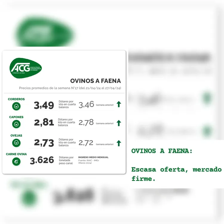 WhatsApp Image 2024-04-30 at 08.45.42 (1)