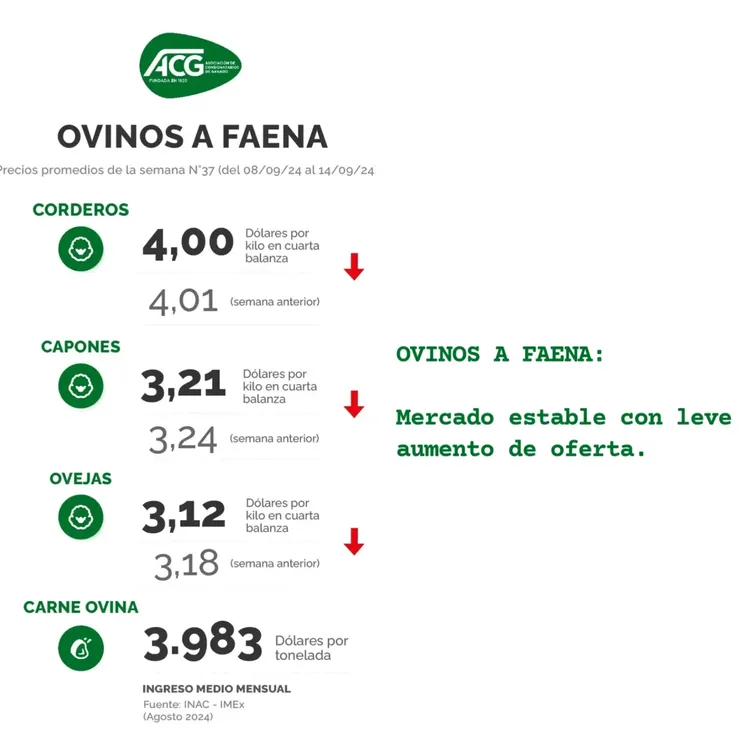 InShot_20240917_114225129