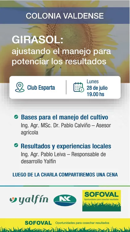 FB_IMG_1753301893620