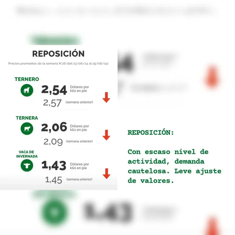 InShot_20240702_085058804