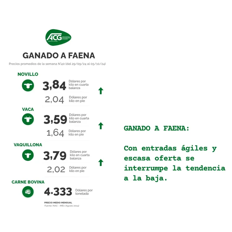 InShot_20241007_225200639