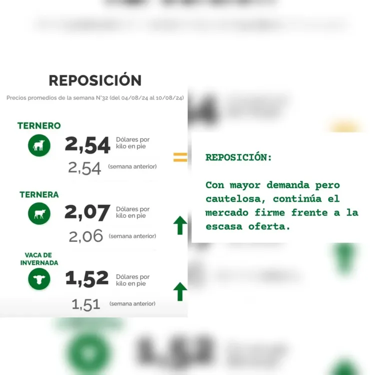 InShot_20240813_100539118