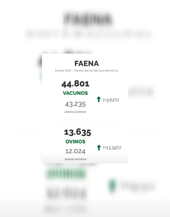 InShot_20240610_223121925