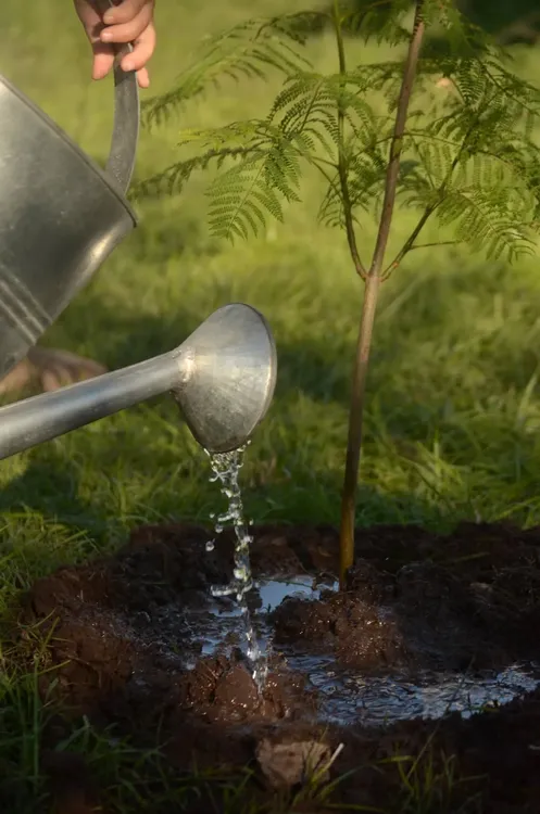 FB_IMG_1775868175588