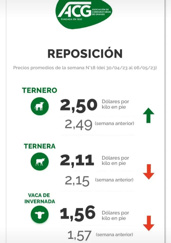 WhatsApp Image 2023-05-09 at 08.01.12 (2)