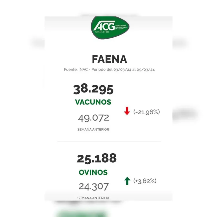 WhatsApp Image 2024-03-12 at 16.01.07 (1)