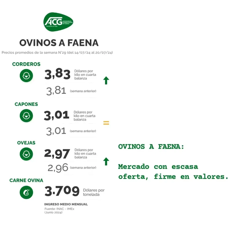 WhatsApp Image 2024-07-23 at 11.08.52 (1)