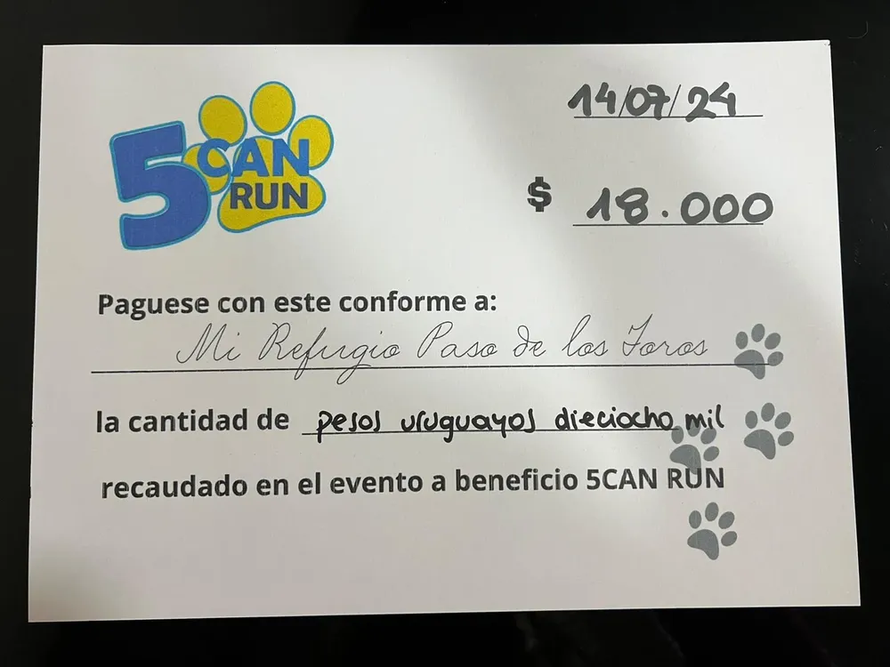 WhatsApp Image 2024-07-15 at 11.54.58