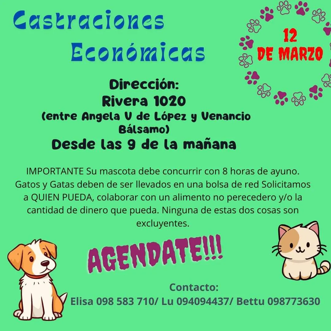 WhatsApp Image 2024-03-04 at 14.50.58