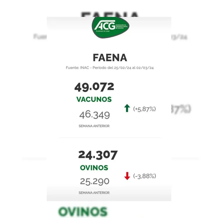 WhatsApp Image 2024-03-05 at 09.21.07 (3)