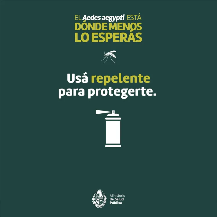 344893614_773922194361401_7291219469945470091_n