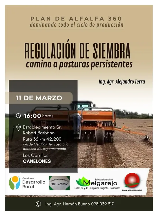 FB_IMG_1741128724896