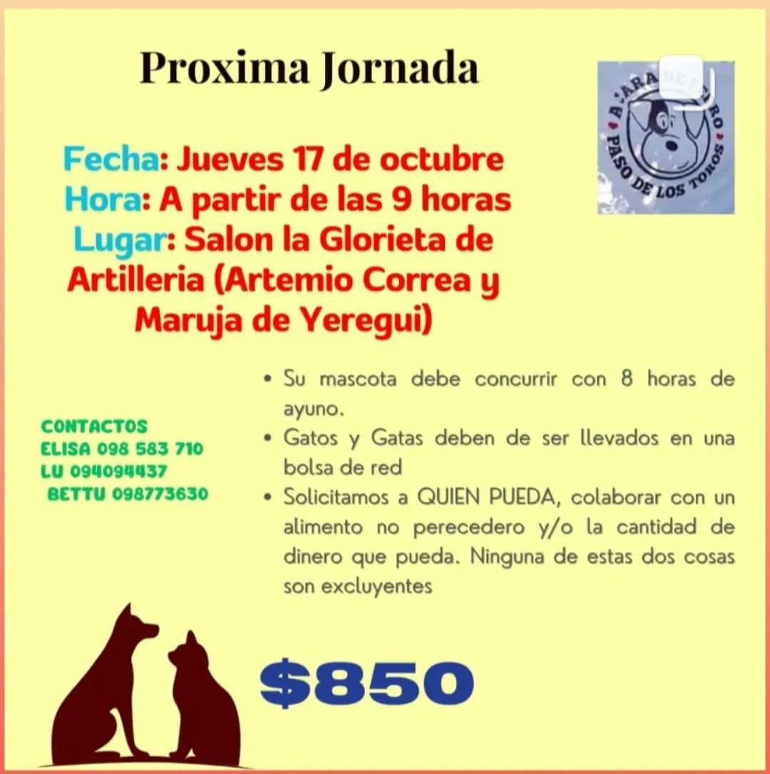 Screenshot_20241015_091455_WhatsApp