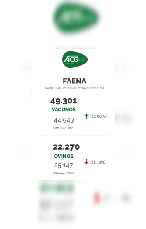 InShot_20241105_094517632