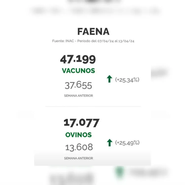 InShot_20240415_220239218