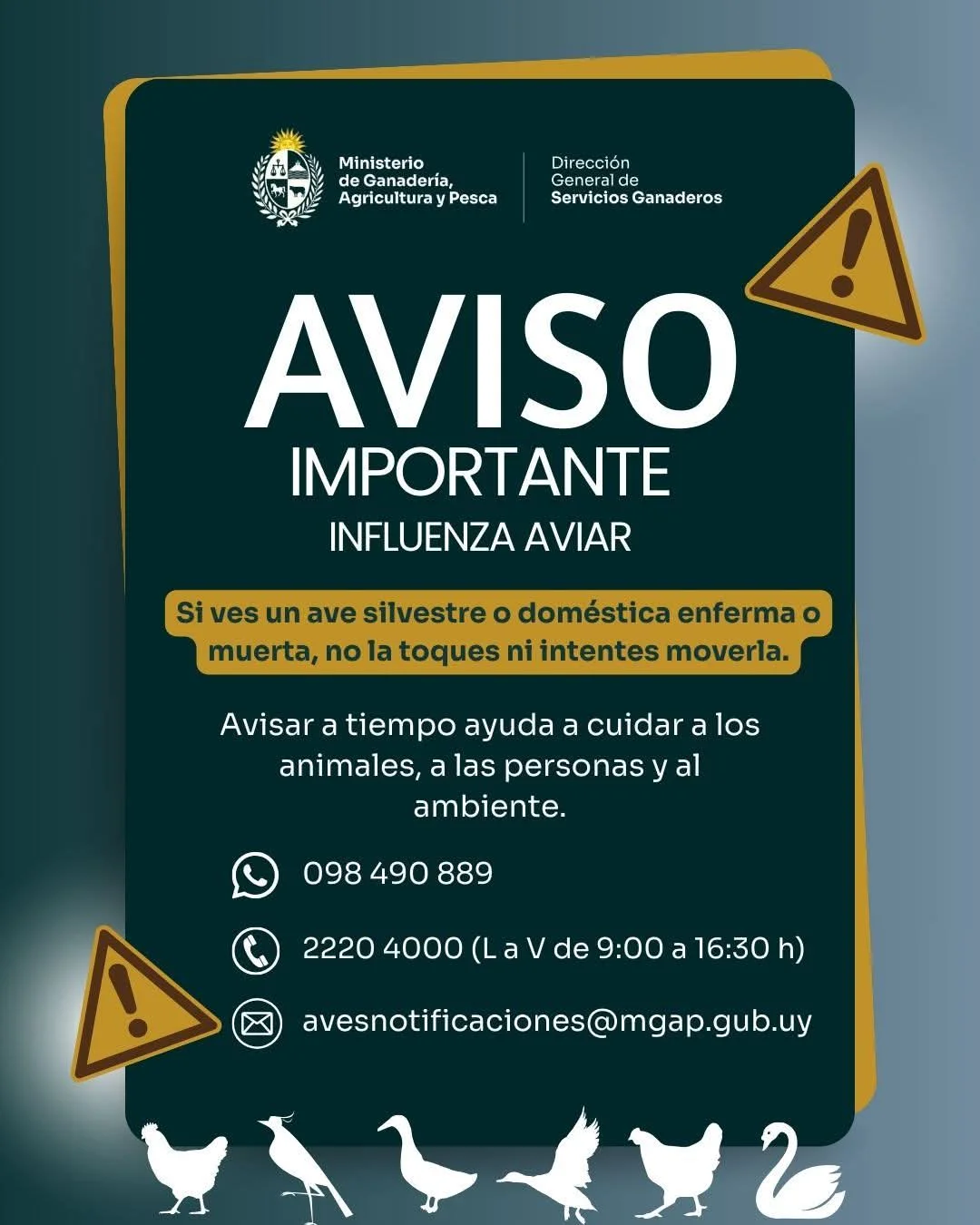 FB_IMG_1772656054095