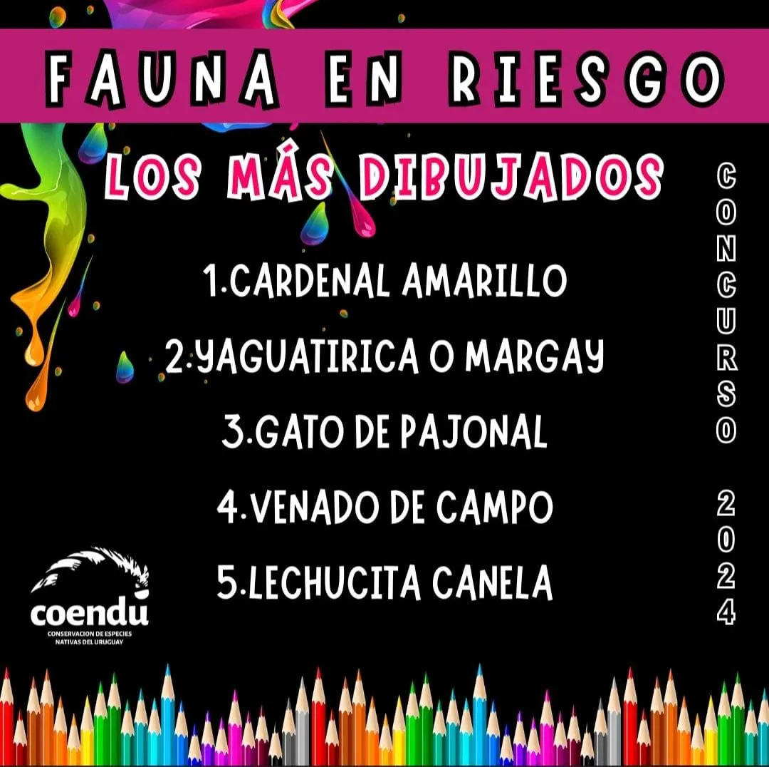 WhatsApp Image 2024-07-23 at 12.09.27 (1)