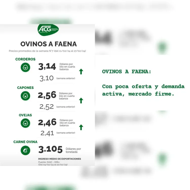 WhatsApp Image 2024-02-20 at 08.52.30 (1)