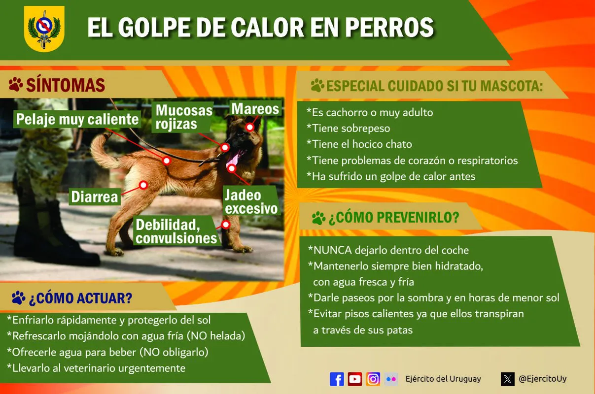 420129719_786030300221438_6590537263925703585_n