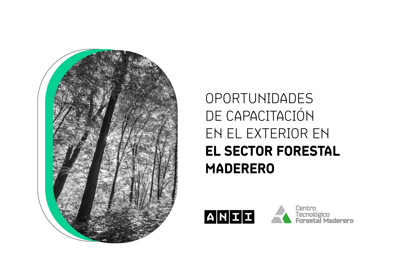 ANIIbecaforestal