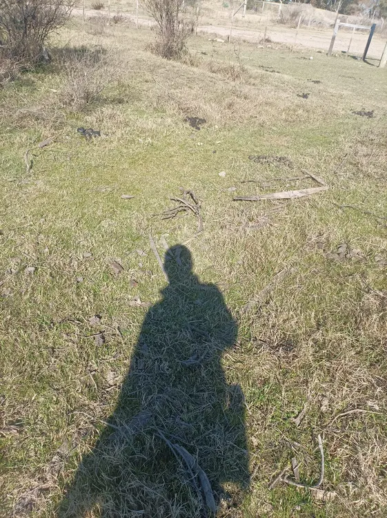 453501429_500566275948393_6627790032473487675_n