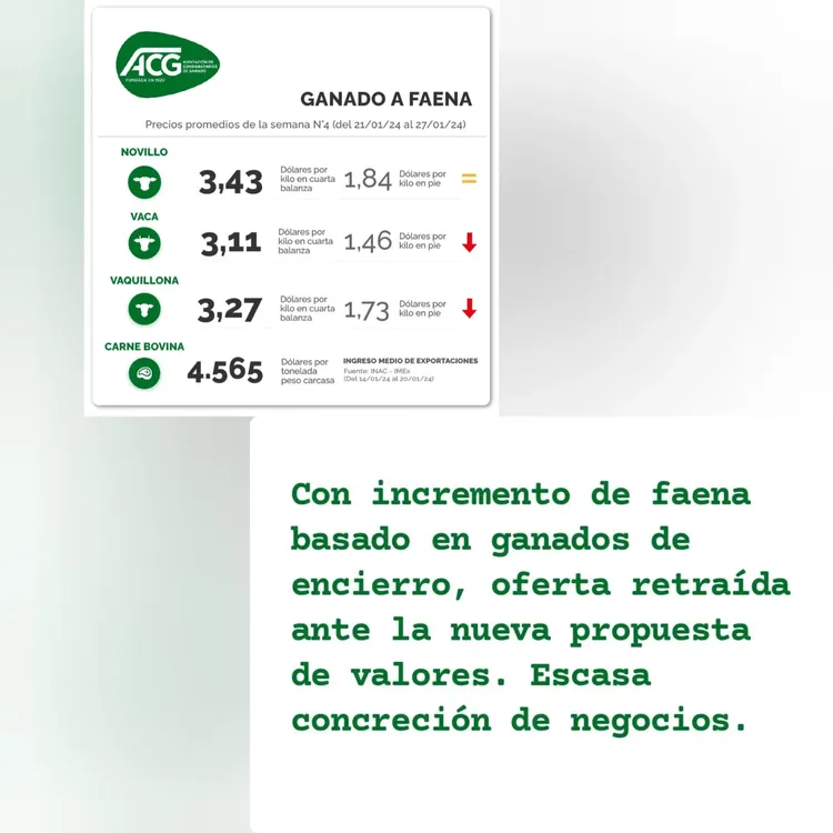 WhatsApp Image 2024-01-30 at 09.03.30