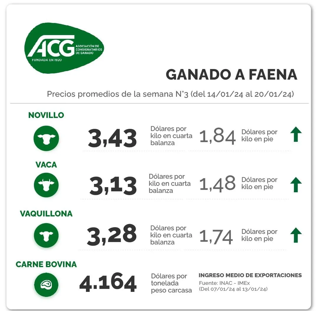 WhatsApp Image 2024-01-23 at 10.55.40